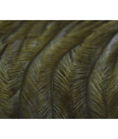 OSTRICH PLUMES - Olive